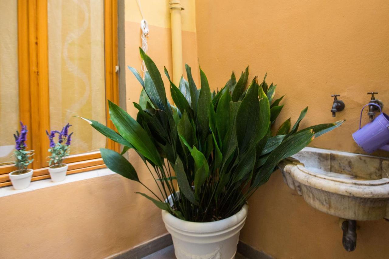 Charming Fiesolana Apartment In Heart Of Florens Exteriör bild